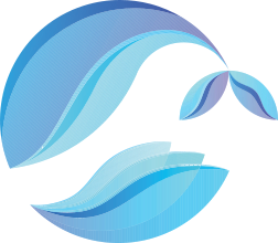 Logo Baltica Cargo - kruszywo / logistyka